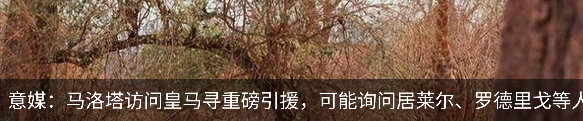 新闻中心
